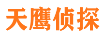 轮台侦探公司